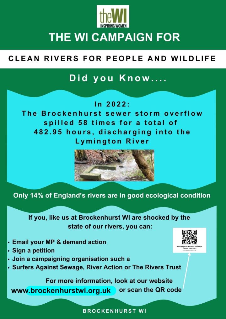 The WI Clean Rivers Campaign Day 1 – Brockenhurst Women's Institute