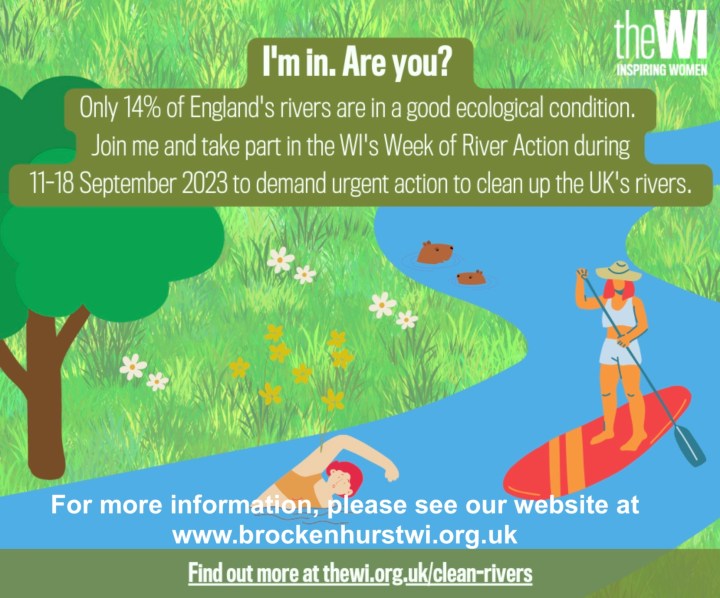 The WI Clean Rivers Campaign Day 3 – Brockenhurst Women's Institute