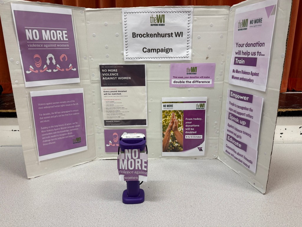 Poster display for the Brockenhurst WI Campaign against violence towards women, featuring various informational posters and a donation box.